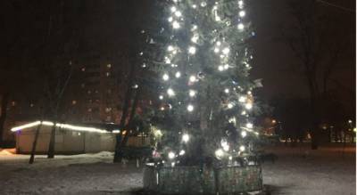 «Может, корни пустит»: ярославцы требуют «разрядить» новогоднюю елку