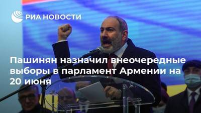 Пашинян назначил внеочередные выборы в парламент Армении на 20 июня