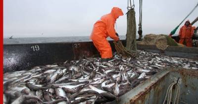 Рыбодобытчики Дальнего Востока предупредили о росте цен на самую дешевую рыбу