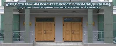 В Костроме СК начал проверку после нападения собак на школьников