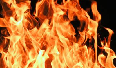 В Архангельской области загорелась пилорама: пожар охватил площадь 1800 м²