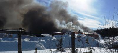 В Карелии горит Суоярвский лесозавод (ФОТО)