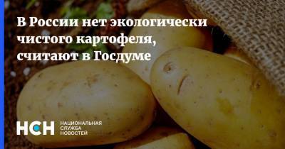 В России нет экологически чистого картофеля, считают в Госдуме