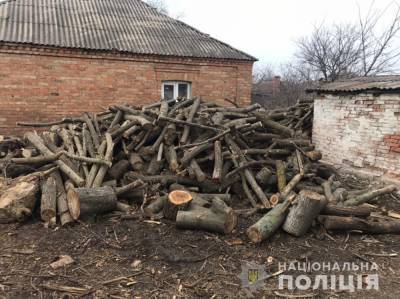 На Днепропетровщине трое незаконно уничтожали зеленые насаждения