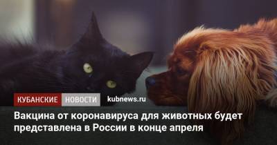 Вакцина от коронавируса для животных будет представлена в России в конце апреля