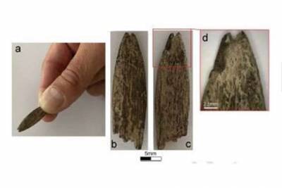 В Австралии обнаружен редкий костяной артефакт