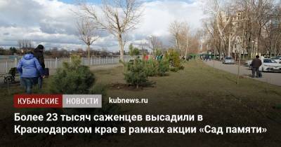 Более 23 тысяч саженцев высадили в Краснодарском крае в рамках акции «Сад памяти»