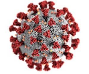 Фармацевтический гигант Roche запускает тест на разные штаммы коронавируса