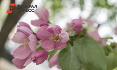 Северная Осетия приняла эстафету в акции «Сад памяти»