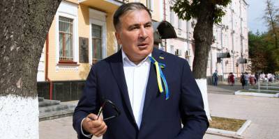 Саакашвили счел евродепутатов и бывшего посла США "аморальными идиотами"