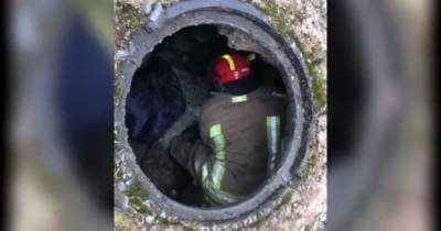 В Ивано-Франковской области женщина посреди улицы застряла в канализационном люке: провела там более суток