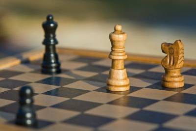 В Псковской области проходят детские турниры соревнований по шахматам
