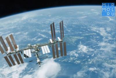 Космонавты с МКС проследят за миграцией птиц на Земле