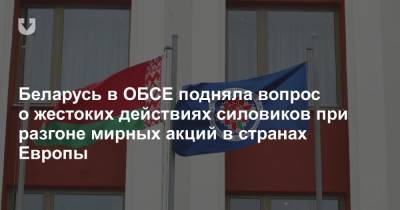 Беларусь в ОБСЕ подняла вопрос о жестоких действиях силовиков при разгоне мирных акций в странах Европы