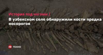 История под ногами. В узбекском селе обнаружили кости предка носорогов