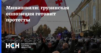 Минашвили: грузинская оппозиция готовит протесты