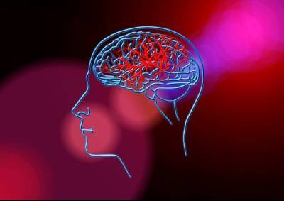 Нейропсихолог Ирина Хвингия рассказала о методах восстановления памяти