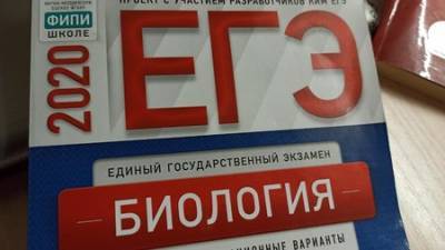 Известно, когда, как и где выпускники Башкирии будут сдавать ОГЭ и ЕГЭ