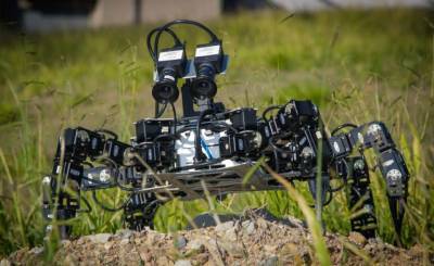 Робот-хамелеон: создана модель, способная подстраиваться под любые условия – Учительская газета