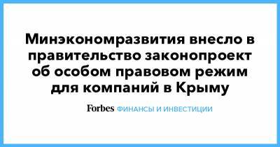 Минэкономразвития внесло в правительство законопроект об особом правовом режим для компаний в Крыму