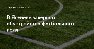 В Ясеневе завершат обустройство футбольного поля