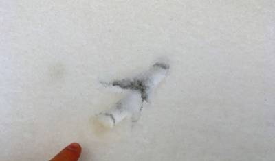 Желтый снег в Башкирии: жители разных городов сообщили о необычном явлении