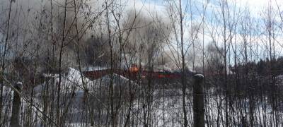 Прокуратура Карелии начала проверку по факту пожара на Суоярвском лесозаводе