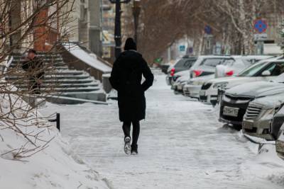 Аномальное тепло придет в Новосибирскую область в выходные