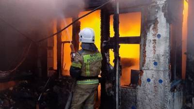 Пожар в селе в Пермском крае унес жизни нескольких человек