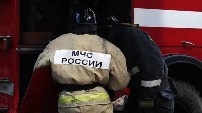 Ребенок и двое взрослых погибли при пожаре в доме в Воронежской области