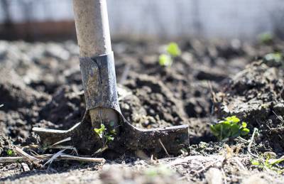 В Украине разрабатывают научно-обоснованный подход к восстановлению почв - agroportal.ua