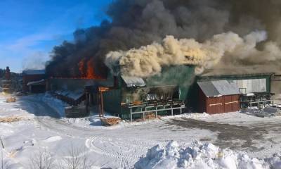 Крупное предприятие сгорело в Карелии: 200 человек могут остаться без работы