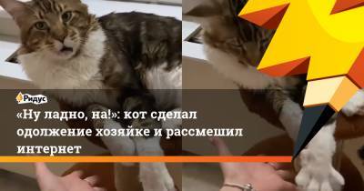 «Нуладно, на!»: кот сделал одолжение хозяйке ирассмешил интернет