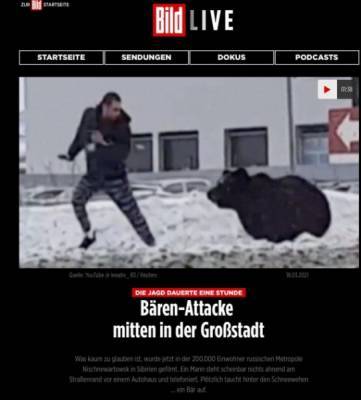 Медведь из Нижневартовска попал на передовицу крупнейшего немецкого таблоида Bild