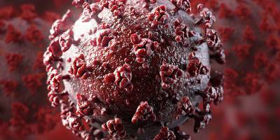Повторное заражение коронавирусом возможно, если организм не выработал иммунитет, считает врач-инфекционист Юрий Жигарев - ТЕЛЕГРАФ