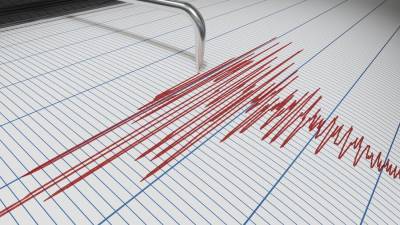 Десять землетрясений произошло за сутки на Камчатке