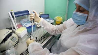 В России проведено 116,7 млн тестов на коронавирус
