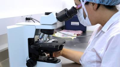 Phys.org: В Австралии ученые сделали из стволовых клеток кожи модель эмбриона человека