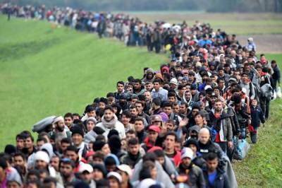 Дания намерена ввести миграционные ограничения