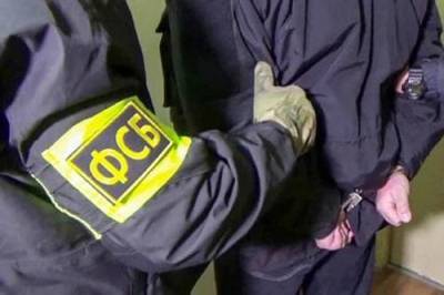 Более 10 сторонников украинских радикалов задержали в двух российских городах