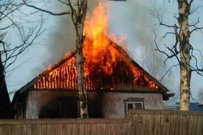 Под Коношей пенсионер лишился дома в результате пожара