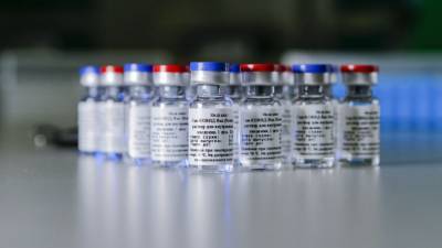 Иммунолог из ФРГ призвал ЕС одобрить использование российской вакцины "Спутник V"