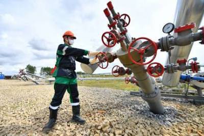 "Татнефть" отложила освоение месторождений сверхвязкой нефти - гендиректор