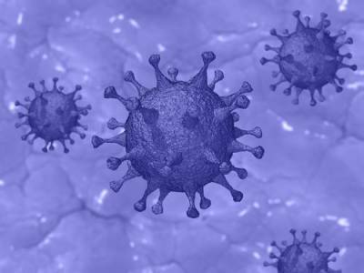 В России за сутки выявлено 9699 новых случаев заражения коронавирусной инфекцией