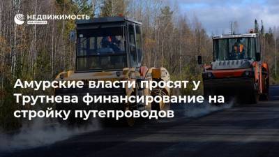 Амурские власти просят у Трутнева финансирование на стройку путепроводов