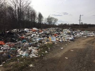 Депутаты Москвы и области хотят поднять штрафы за сброс мусора