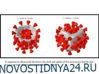 Ультразвук — настоящее спасение от коронавируса, показало моделирование