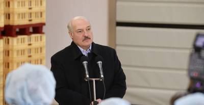 Александр Лукашенко о "Молочном мире": для меня посещение таких предприятий если не праздник, то воодушевление