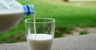 Украинские производители возмущены неконкурентным импортом иностранной молочки: ее уже 30%