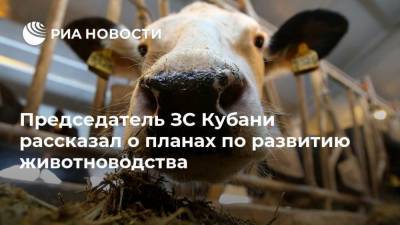 Председатель ЗС Кубани рассказал о планах по развитию животноводства - smartmoney.one - Краснодарский край - район Новокубанский